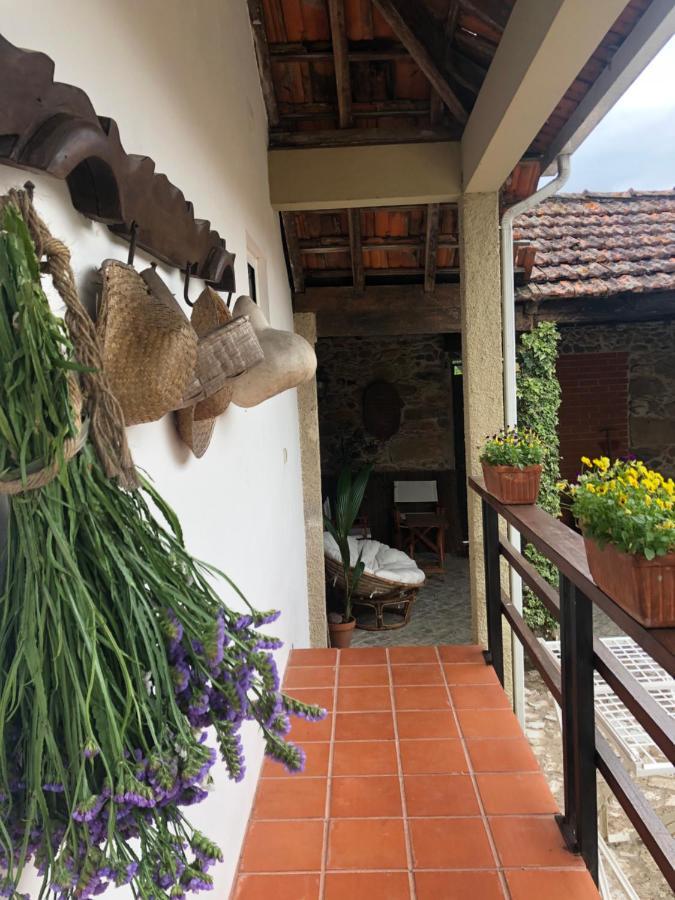 Vila Delfina Lousa  Exterior photo